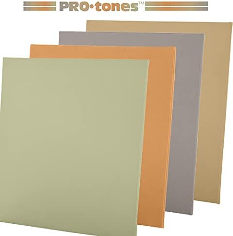 Paramount Pro-Tones Tons All-Media Toned Canvas Painéis de 3 pacote-tela de algodão tripla, cores não refletidas-cinza