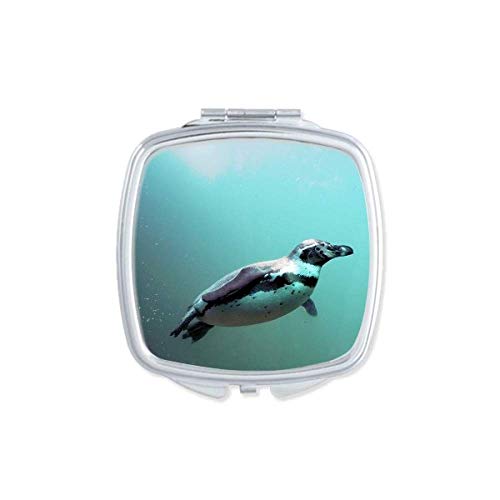 Sea Antártica Penguin Creature Science Nature espelho espelho portátil composição de bolso compacto vidro de dupla face