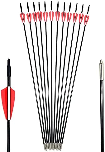 As primeiras flechas do iniciante do GPP Archery - 12 pacote
