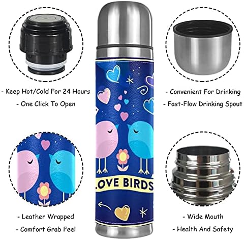 Caneca isolada a vácuo de aço inoxidável, garrafa de água térmica de térmicos de pássaro azul para bebidas quentes e frias para crianças