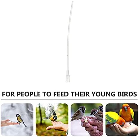 StoBok 5pcs Baby Bird Feeding Tuba Birds Milk Water alimentador de água Papagaio Papulador de mangueira de mangueira Distúrbio de mangueira para berçário bebê pequeno animal de animais de estimação Acessórios