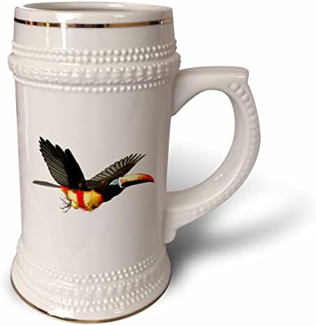 3drose boehm Graphics Bird - Bill aracari pássaro de aracari - 22oz de caneca
