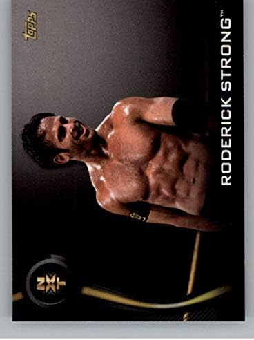 2019 TOPPS WWE NXT ROOK #39 Roderick Strong Wrestling Trading Card