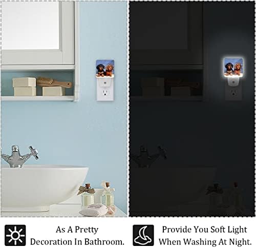 Evanlinsim Dachshunds Dog Night Light Plug in Set of 2, 0,5 W Luzes noturnas LED para crianças adultos meninos meninas bebês, senor de automóvel para Dawn para ler o quarto do banheiro decorativo decorativo