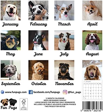 Nosso calendário mundial de selfies de selfies 2023 - Planejador familiar e organizador diário com cães mensais Imagem do calendário - Presente de amante de cães, preenchimento de meia de Natal e design slim de Wall Planner 2023