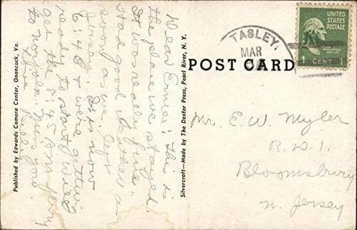 Del-Anne, Whispering Pines, Inc. Accomac, Virginia VA original Vintage Post cartão