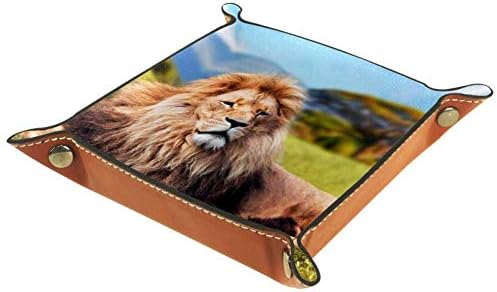 Lorvies Big Lion deitado em Savannah Grass Storage Storage Cube Bins Bins Bins for Office Home
