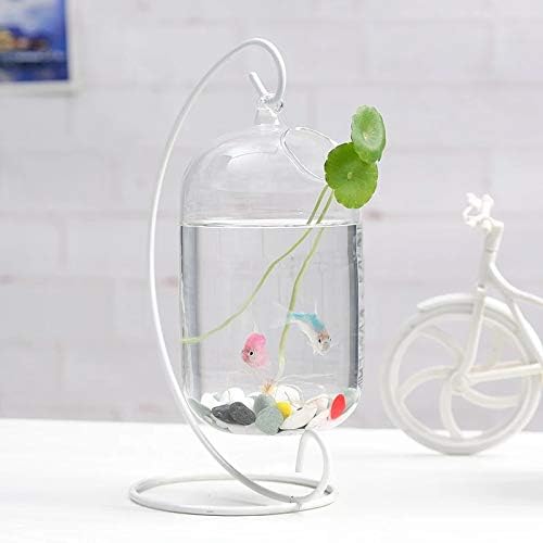 TWDYC Mini Desktop Transparent Glass Fish Tank Creative Home Office Decoração