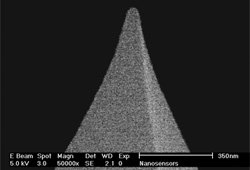 Nanossensores PPP-MFMR-10 PointprobePlus Microscopia de força magnética PTIR5 AFM TIP