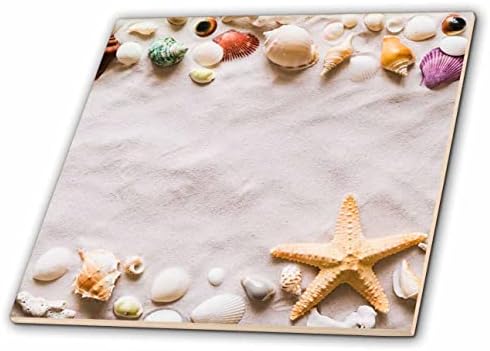 Imagem 3drose de estrelas do mar e conchas do mar na areia - cascas de mar de praia arenosa oceano - telhas