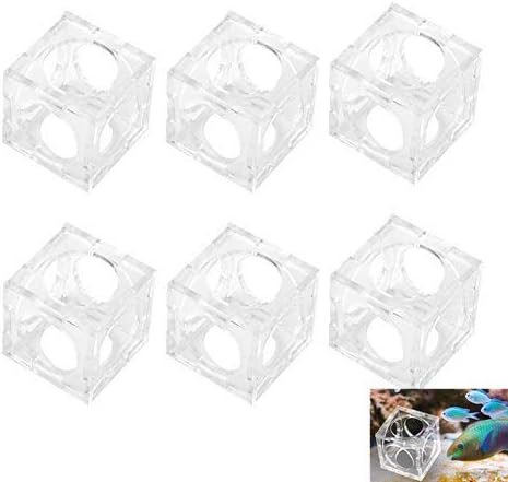 6 PCS Aquário Peixe Caixa Cadeir Caixa de Casar Tanque de Peixe Isolamento Caixa de Criação de Plástico Caixa Plástico Caixa de Camarão