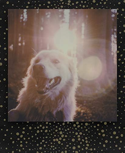 Polaroid Originals - 4932 - Filme colorido para 600 - Gold Dust Edition