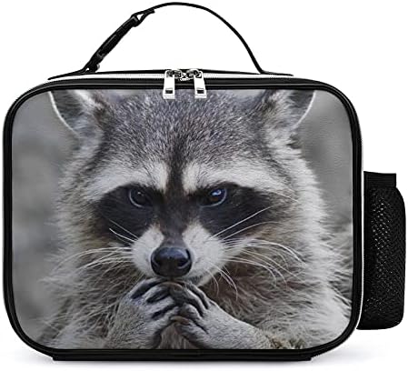 Raccoon Raccoon reutilizável lanchone