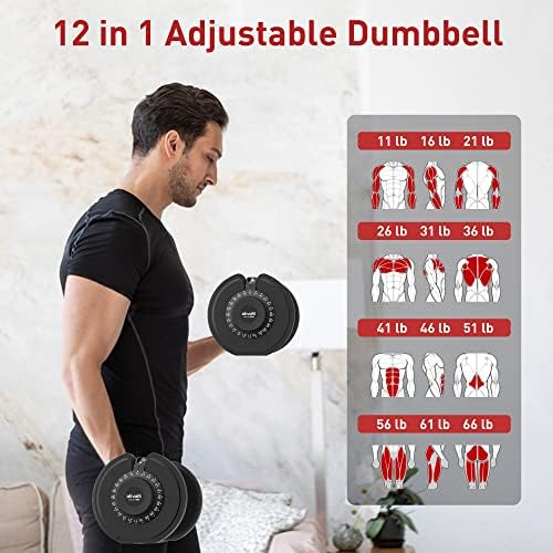 ATIVAFIT DUMBBELL AJUSTÁVEL Conjunto de 66 libras + Corrente de levantamento de peso levantamento terra pesado l