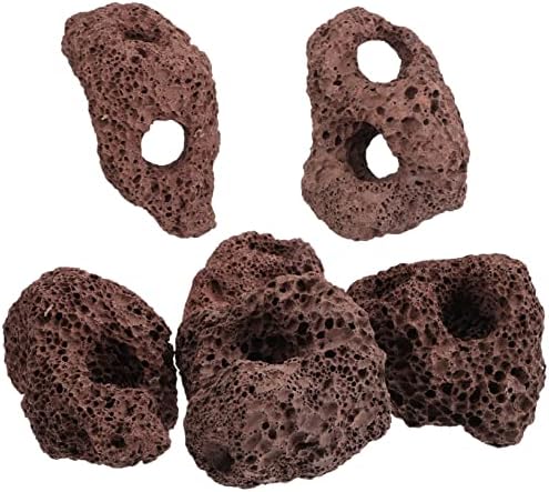 Hemoton 6pcs Plantas de colonização de pedra vulcânica Plantas de decoração Anel de ornamento MUICLE PLANTAS NATURAIS TANDE