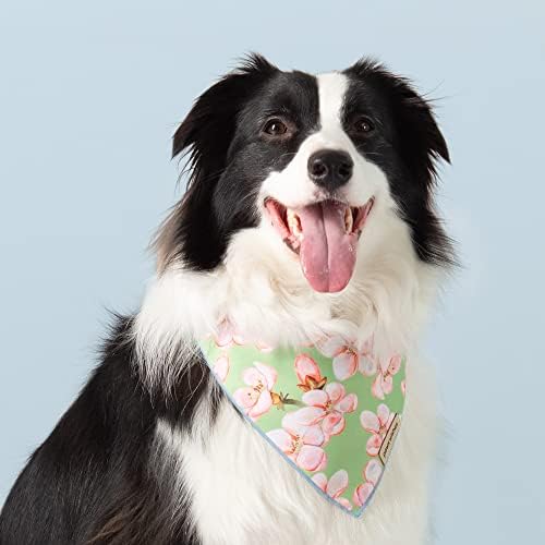 Paws deseja cachorro Bandana 2 pacote, flor e listra Conjunto de pêssego da Geórgia, design amigável para animais de estimação,