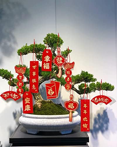 67pcs Decorações de ano novo chinês 2023, envelopes vermelhos do ano novo chinês Rabbit lunar Ano novo decorações lanternas