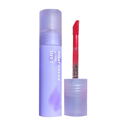 Base Lip Gloss Pequena presente para meninas Diário Cosméticos Lipstick Com maquiagem labial Velvet High During During High Pigmment Nude Watersperp Stains