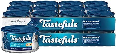 Buffalo azul de bom gosto Kitten Pate Mol