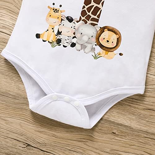 Grnshts Baby menino engraçado Roupas de aniversário do primeiro aniversário