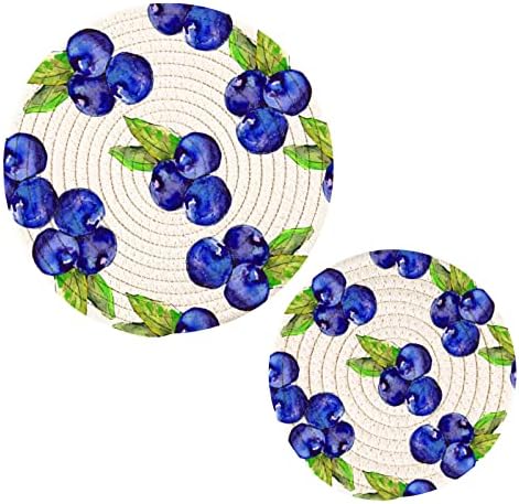 Blueberries de aquarela Trivets para pratos quentes portadores de maconha Conjunto de 2 peças Pads quentes para trivetas resistentes ao calor da cozinha para vasos quentes e frigideiras Placemats definidas para bancadas Farmhouse Kitchen