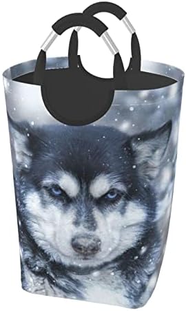 Husky in Snow Dog Roupa de cesta de roupa dobrável Tester cesto de roupa suja de roupas sujas e independentes de roupas