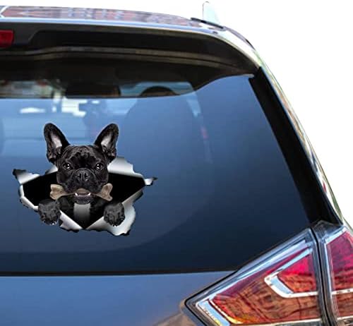 Camellia Print French Bulldog adesivo Frenchie Car Decal