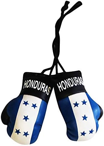 Luvas de mini boxe da bandeira de Honduras