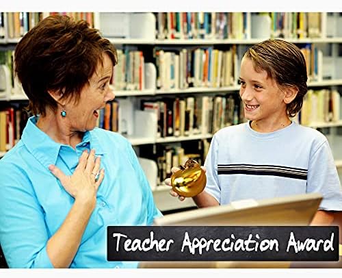Presentes de professores-Presentes de professor para o presente de apreciação do professor de ouro-cerâmica da Apple com cartão