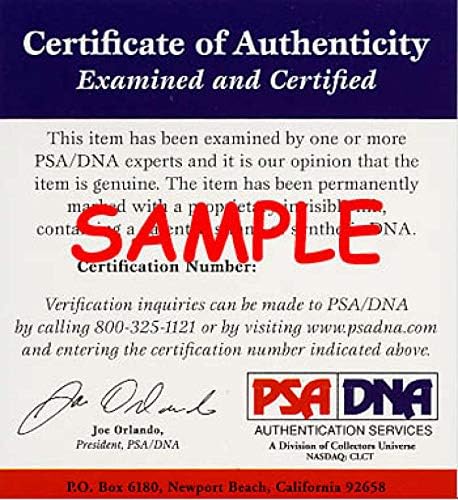 Mike Piazza PSA DNA Early Autograph National League Onl Baseball