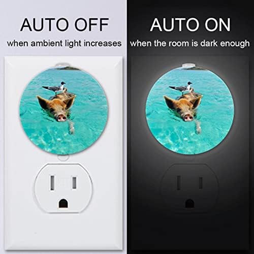 2 Pacote Plug-in Nightlight LED Night Light com Dusk-to-Dewn Sensor for Kids Room, Nursery, Kitchen, Green Pig Swim