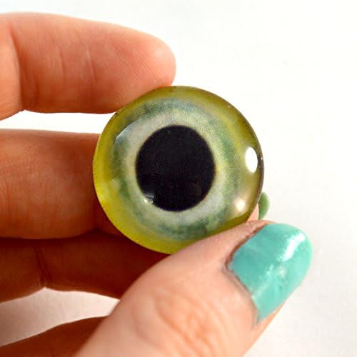 25mm de olho de vidro de papagaio amarelo verde de 25 mm para esculturas de taxidermia ou jóias fazendo artesanato