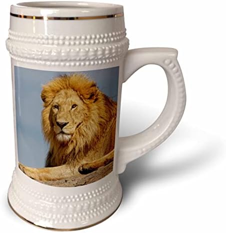 Lion adulto de 3drose em Kopje, Serengeti NP, Tanzânia, África. - 22 onças de caneca