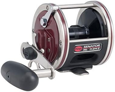 Penn Special Senator Star Drag Reel convencional de pesca