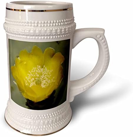 3drose amarelo cactus pêra flor fotografia - 22oz caneca caneca