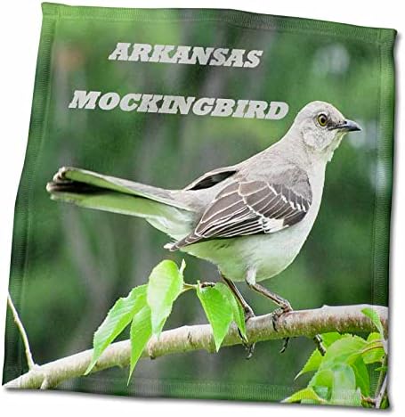 3drose Florene State Birds - Arkansas State Bird Northern Mockingbird - Toalhas