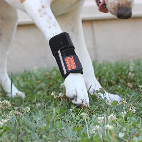 Tokdoup D21GB Dog & Cat Brace da junta da perna frontal com tiras de metal que apoia o membro inferior no ligamento cruzado, cicatrização de feridas e perda de estabilidade da artrite