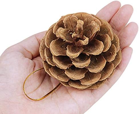 Suple 30 pcs natal pendurado em pinheiros de verdade em preservação de 2 -3 altura da árvore de natal pendurada ornamentos de pinecone