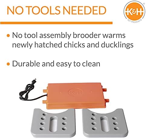 K&H PET Products Thermo Chicken Brooder, aquecedor da ninharia para pintinhos, prato de brooder de garotas, alternativa segura