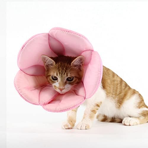 CATOS DE RECUPERAÇÃO DO CAT CLARES E CONES SOFT PET RECOMENCENTO DO COLO DO COLO DO CONO Após a cirurgia Suprimentos para animais de