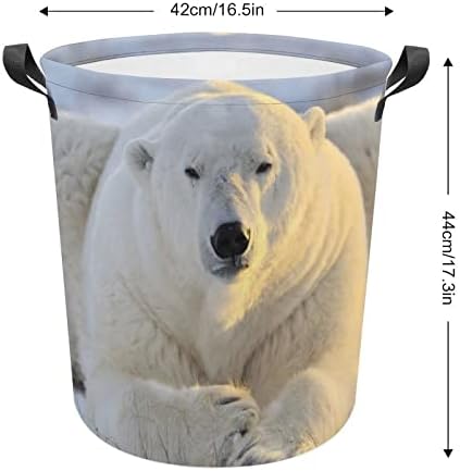 Imagens de urso polar, cestar de roupa de roupa, cesta de roupas dobráveis ​​para roupas de sala de estar e armazenamento de brinquedos