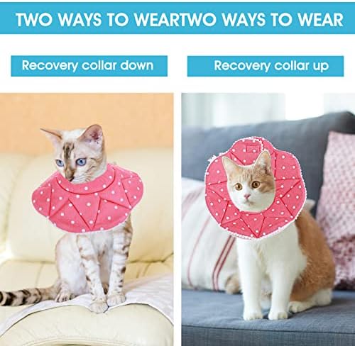 Colar de cone de gato de gato, gato de gatinho ajustável cone de gato cone de gato após cirurgia para gatinhos colarinhos de fixação