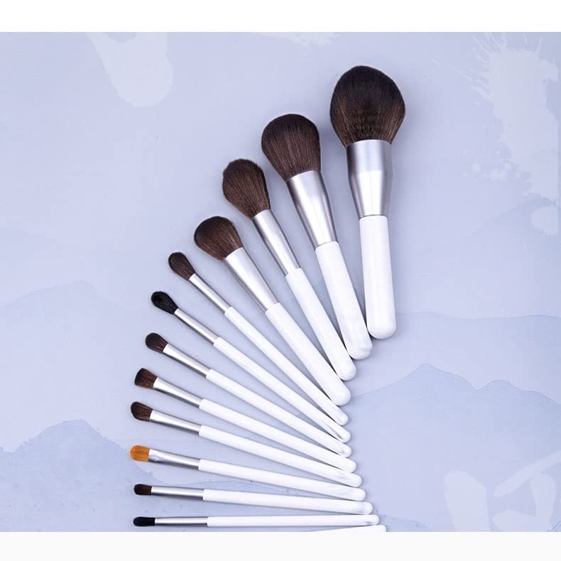 Ferramentas de beleza Trexd Set Bush Brush Silver 15 Tink Pattern Makeup Brush Conjunto de pincel