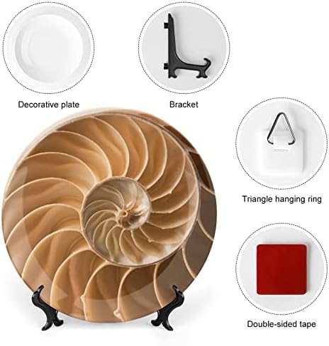 Curva de Fibonacci Seção Dourada Placa decorativa Placa de cerâmica redonda Placa China com estande para a decoração