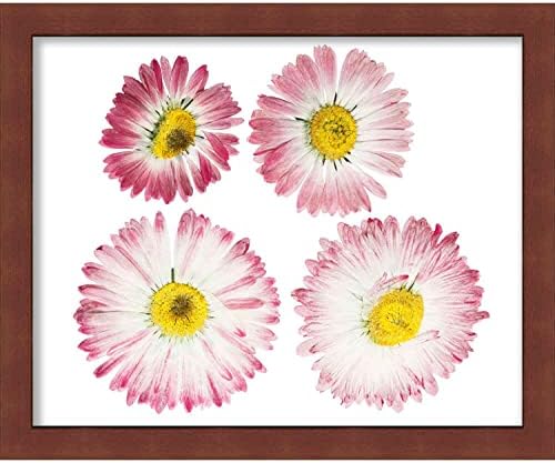 10x4 Cherry ShadowBox Frame - Sombreia Tamanho do interior da caixa de sombra 10x4 por 1 polegada de profundidade - O quadro de cerejeira