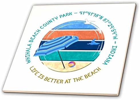 3drose American Beaches - Whihala Beach County Park, Lake Michigan, Indiana - azulejos