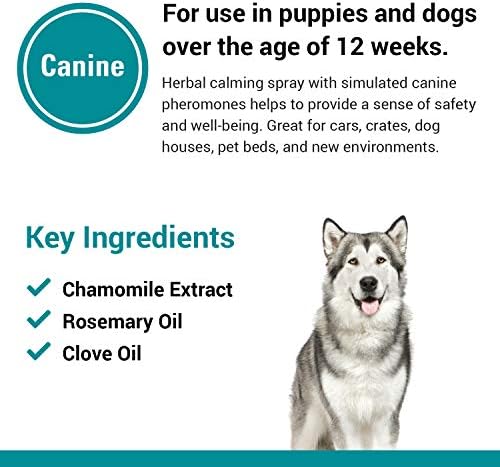 Vet Classics Safety Zone Spray calmante para cães com ansiedade - Spray calmante de ansiedade de ervas - spray calmante de cães para