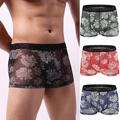 Curtos de boxer masculinos de roupas íntimas de roupas íntimas estampadas boxer 4pc Briefas masculinas transparentes masculinos