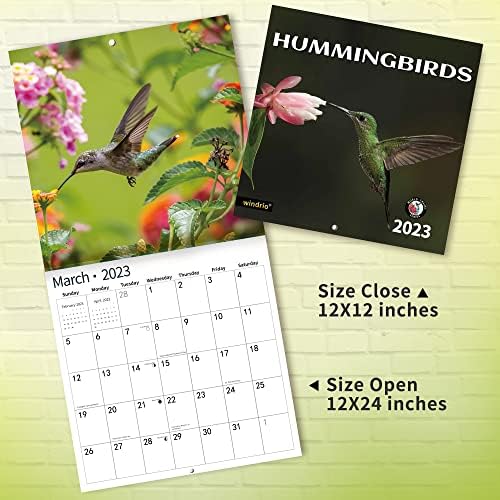 2023 calendário de parede, 14 calendário de parede mensal Hummingbird de novembro de 2022 - dezembro de 2023, 12 x 24 aberto, página