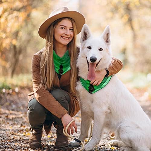 Pacote de Bandanas 2 Dog, Northern Lights Green Aurora Lenço de estimação, Chiffon Bandanas Triangle Bibs Acessórios para pequenos cães grandes cães de cachorros animais de estimação